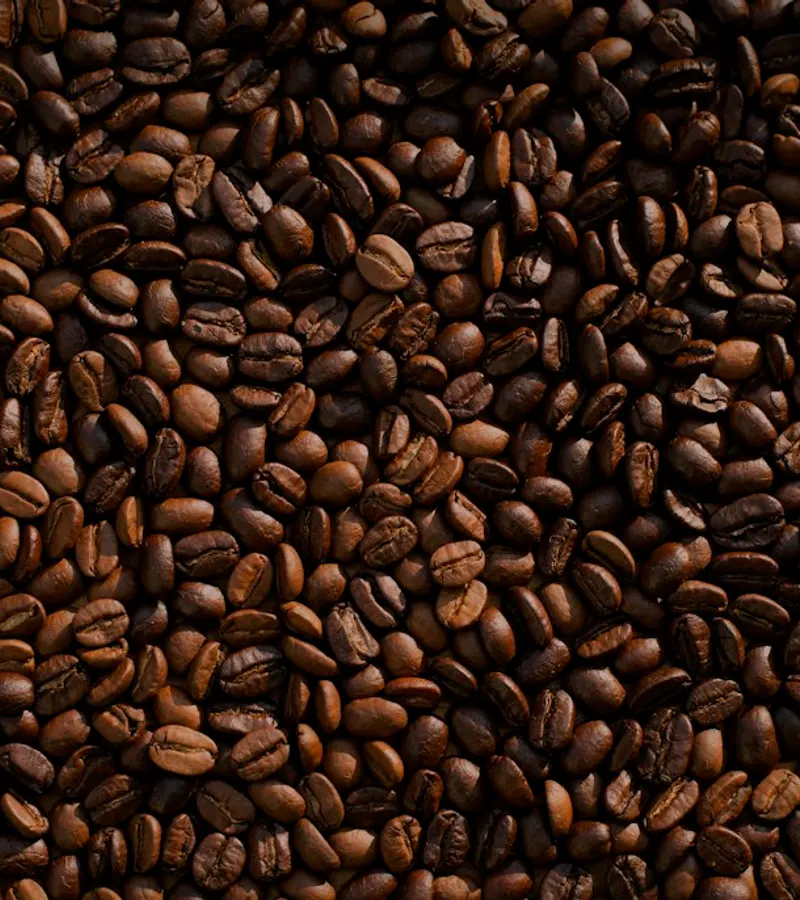 Café em composição ilustrativa